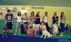seminar priprava na vystavy psu a handling