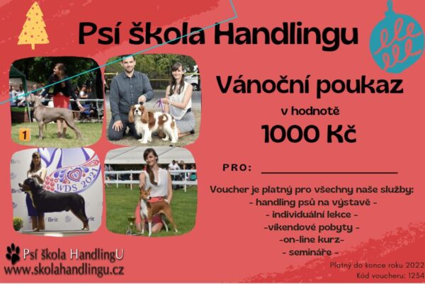 Voucher 2022